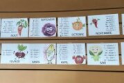 les anniversaires au Restaurant Scolaire