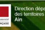 Arrêté Autorisation Destruction à tir Corbeau Freux Corneilles Noires FREDON – Période 1er mars au 31 juillet 2019