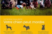 Information pour lutter contre les agressions canines envers les facteurs