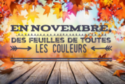 Menus Restaurant scolaire Novembre 2020