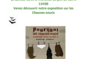 Exposition sur les Chauves-souris