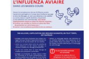 Influenza Aviaire 04 12 2023
