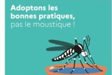 Adoptons les bonnes pratiques, pas le moustique!